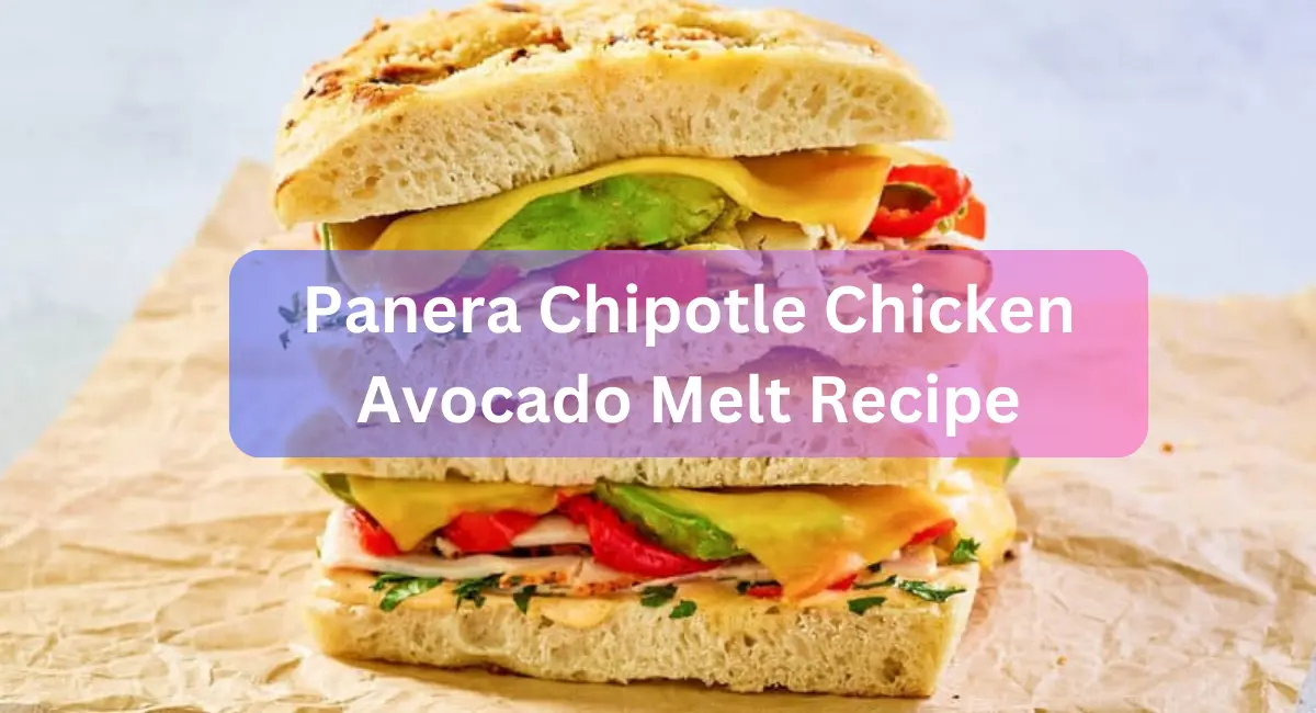 Panera Chipotle Chicken Avocado Melt Recipe